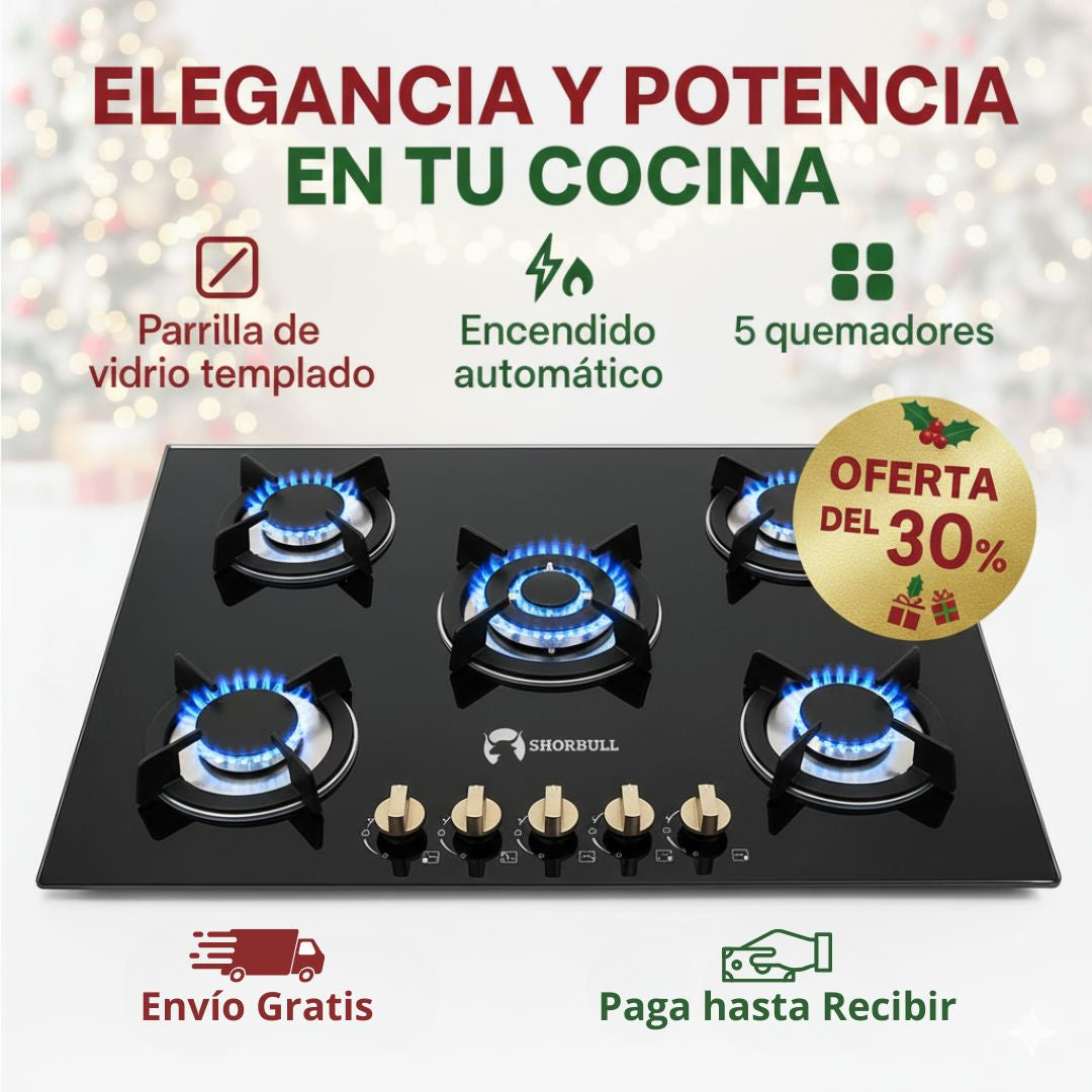 FlameMaster 5 Parrilla 5 Quemadores Vidrio Shorbull