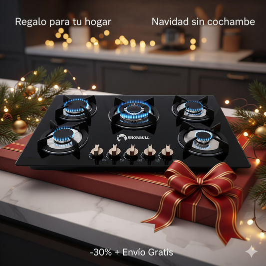 FlameMaster 5 Parrilla 5 Quemadores Vidrio Shorbull